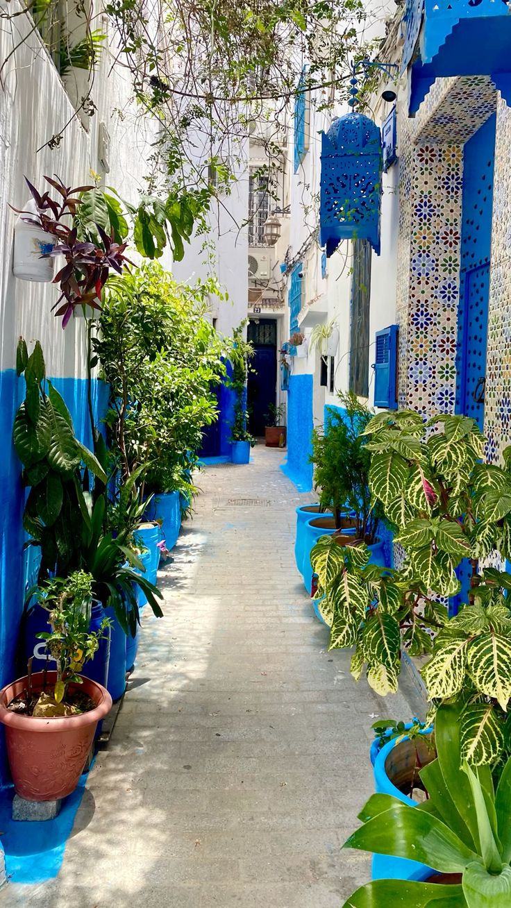 Qué hacer en Chaouen: guía completa de monumentos, restaurantes y excursiones